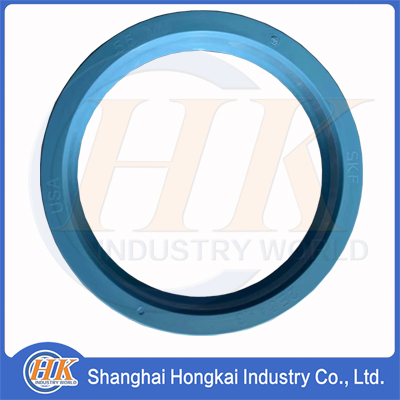 B230101000080 RING SEAL