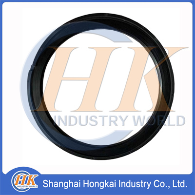 B230101000132 RING SEAL