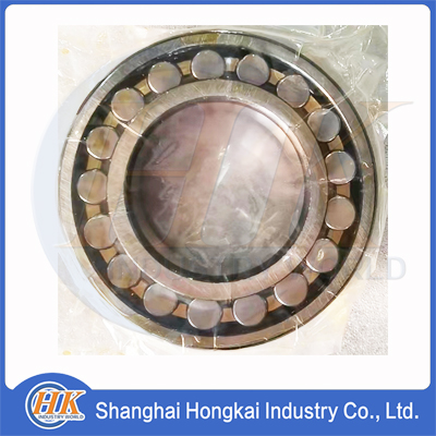 1050200141 BEARING