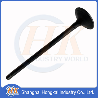 13711-E0030 INTAKE VALVE