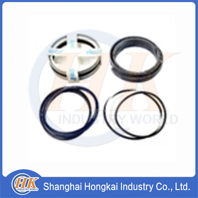 086877008 Boom hydraulic cylinder seal kit