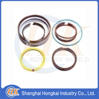 445769 Boom hydraulic cylinder seal kit