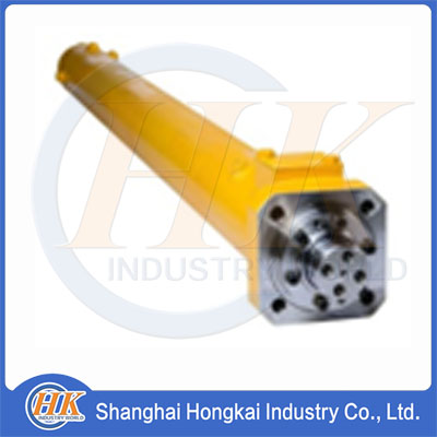 243625006 Hydraulic Cylinder