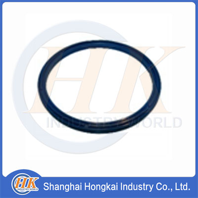 247565007 Lip Seal Ring