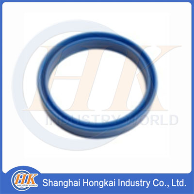 65345001 Lip Seal Ring