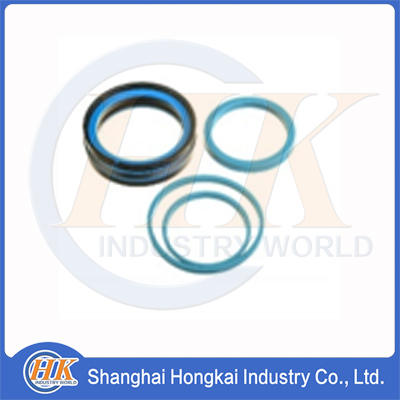 10023652 Cylinder Sealing