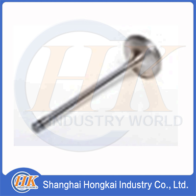 04153697 Exhaust valve