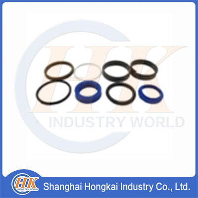 86677004 Set of seals for the plunger hydraulic cylinder