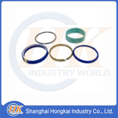 278901009 Set of seals for hydraulic cylinder